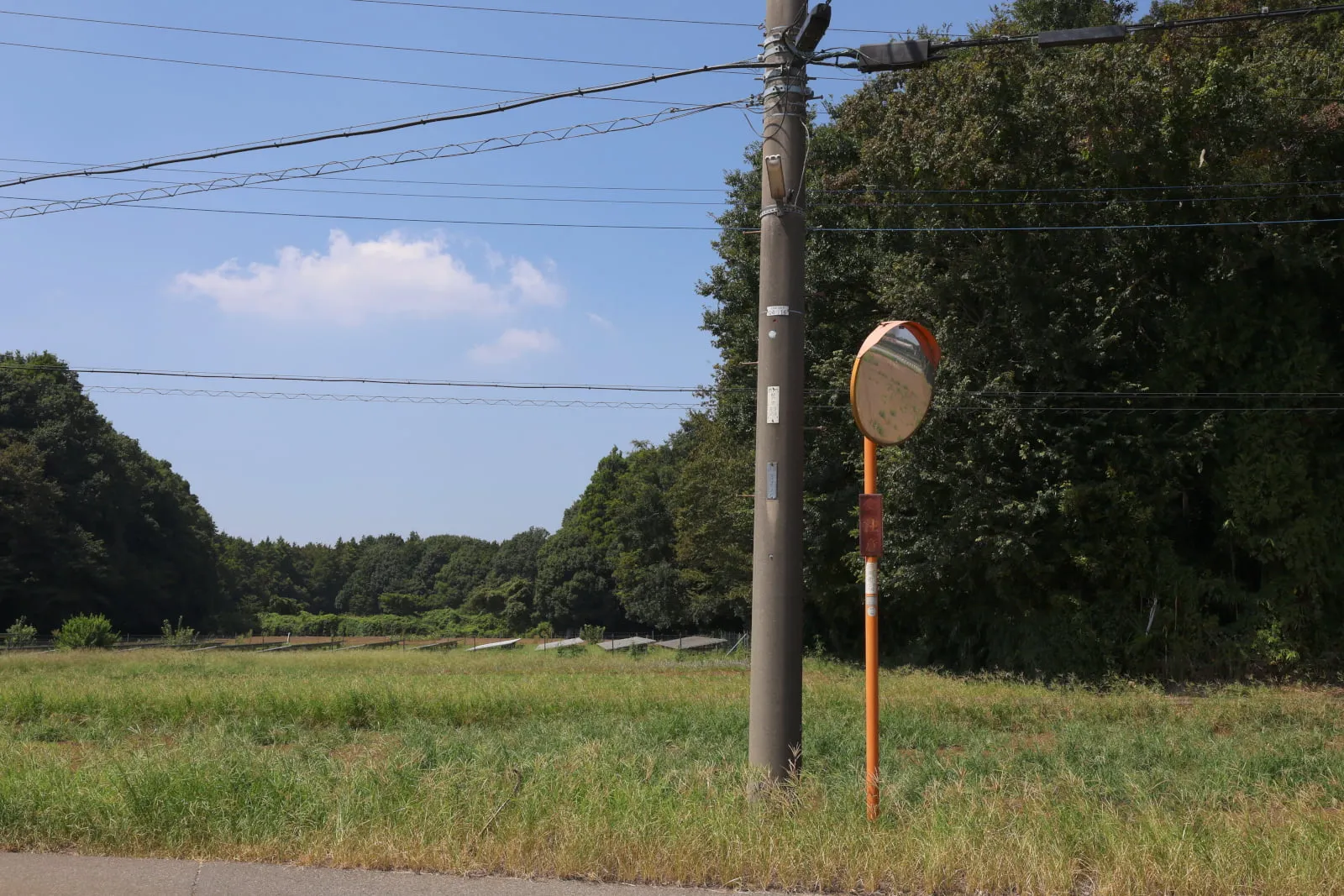 青空と青々とした草の茂る空き地の前に立つ電柱とカーブミラーの写真