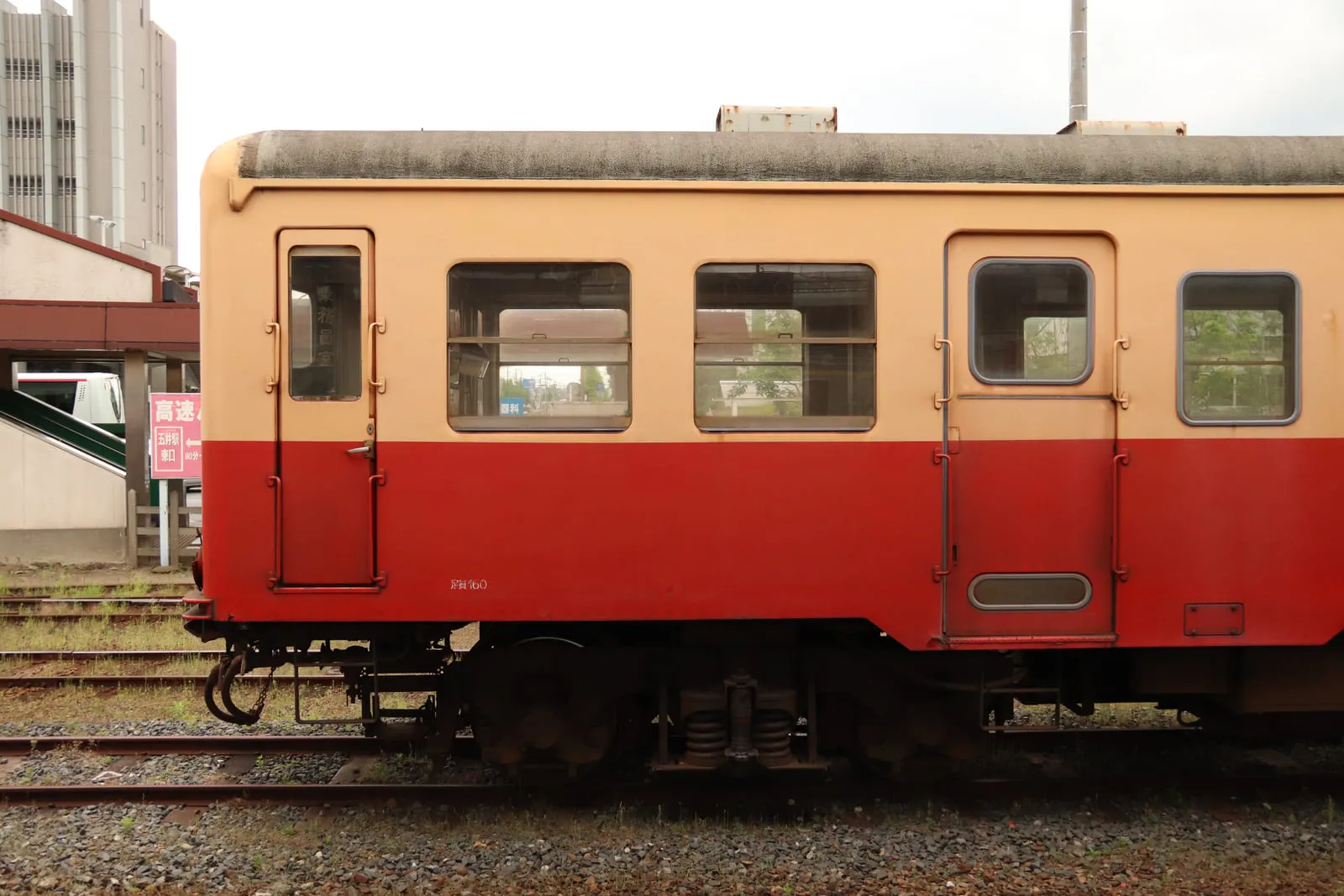 道端に咲く黄色とオレンジ色の小さなお花