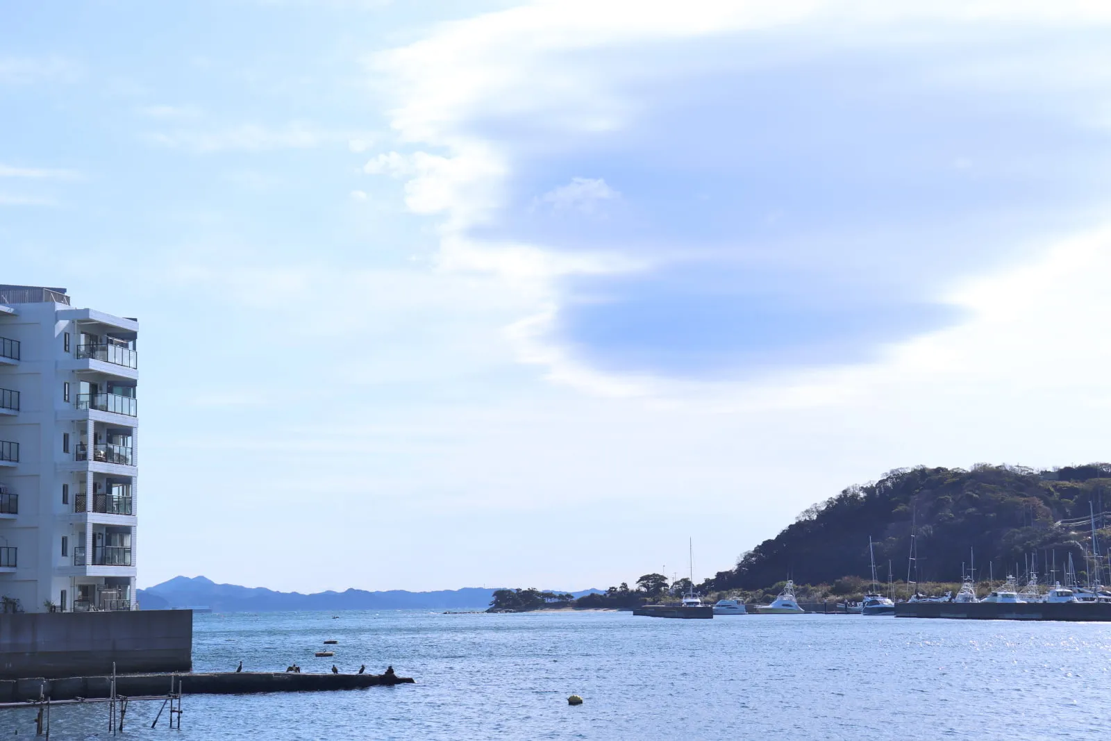 浦賀港から望む湊の入り口の写真