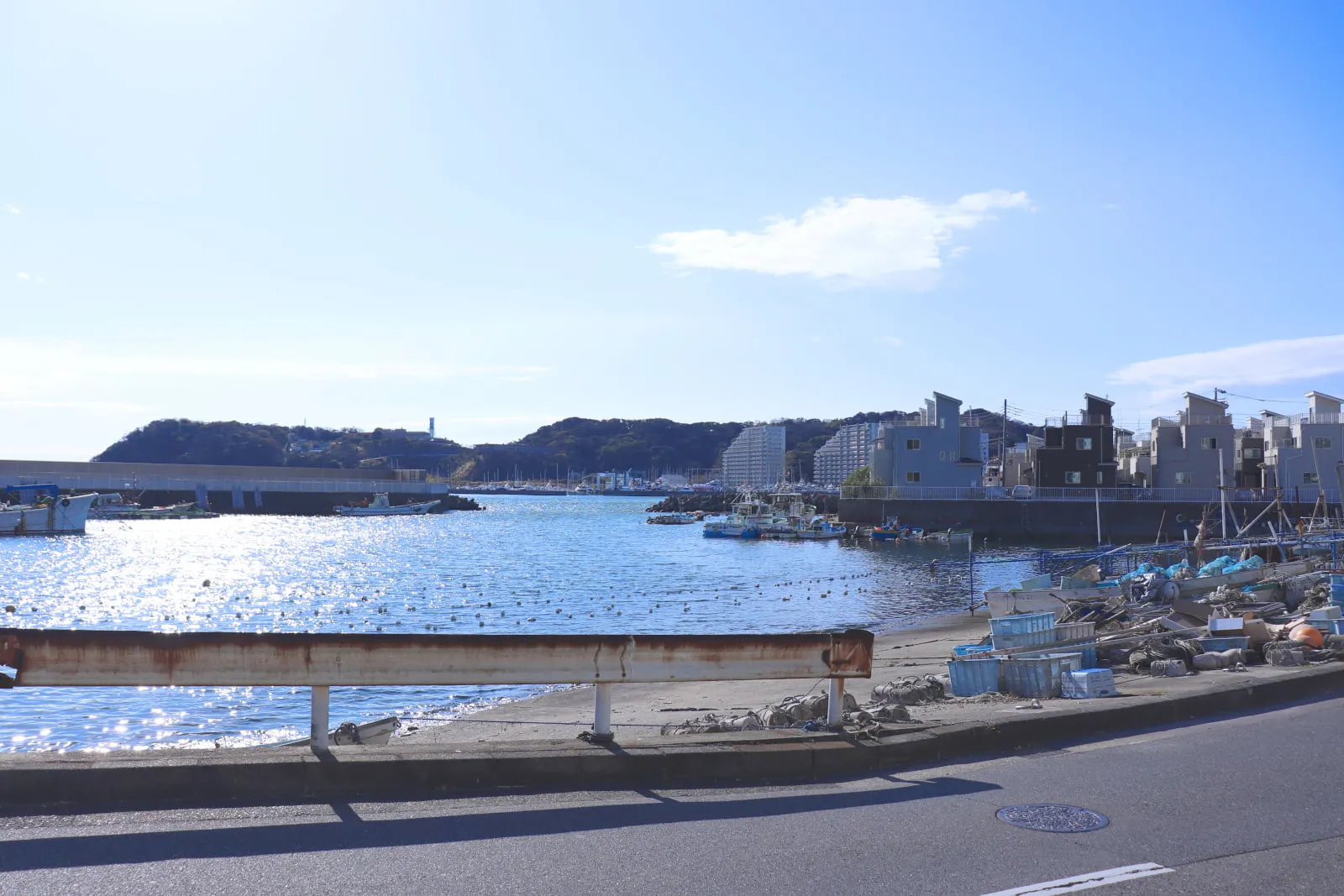 鴨居大室港沿いの、ガードレールのたつ車道