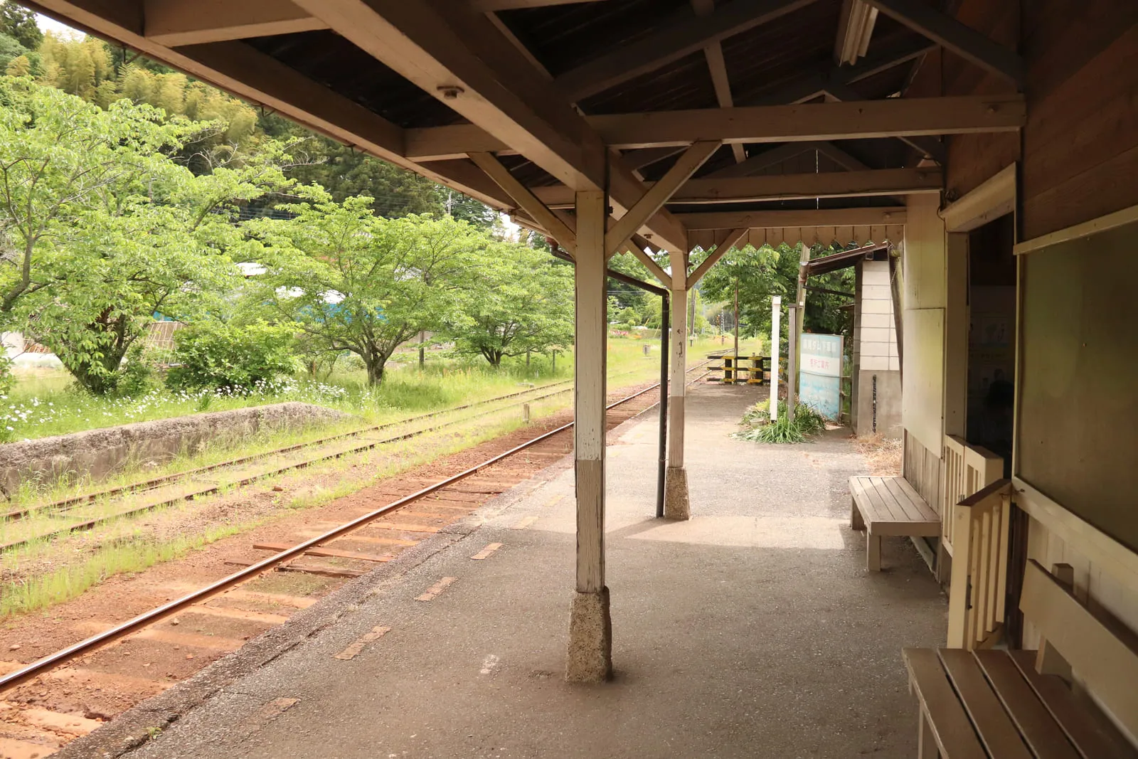 鴨居大室港沿いの、ガードレールのたつ車道