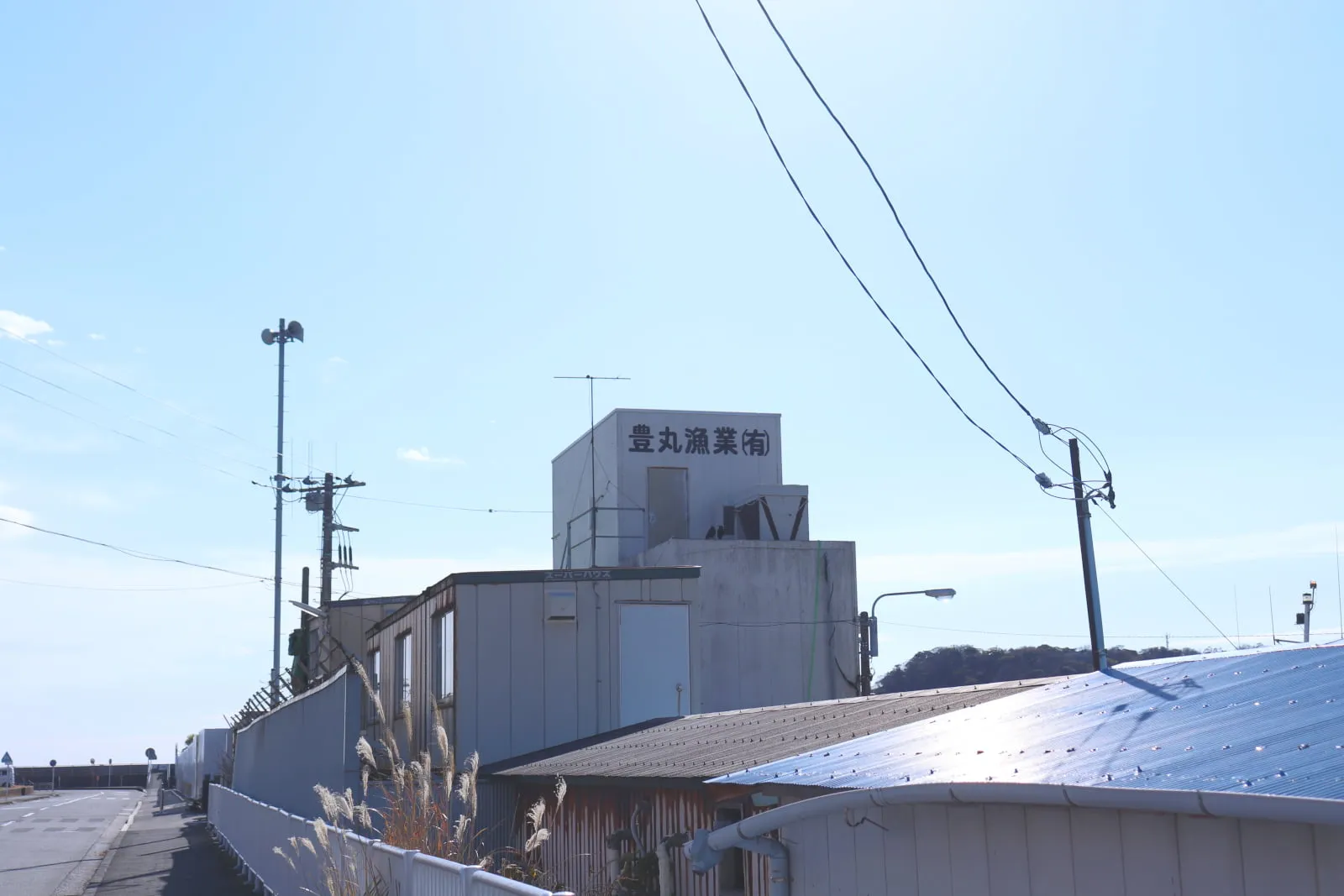 鴨居大室港沿いに建つ商店の写真