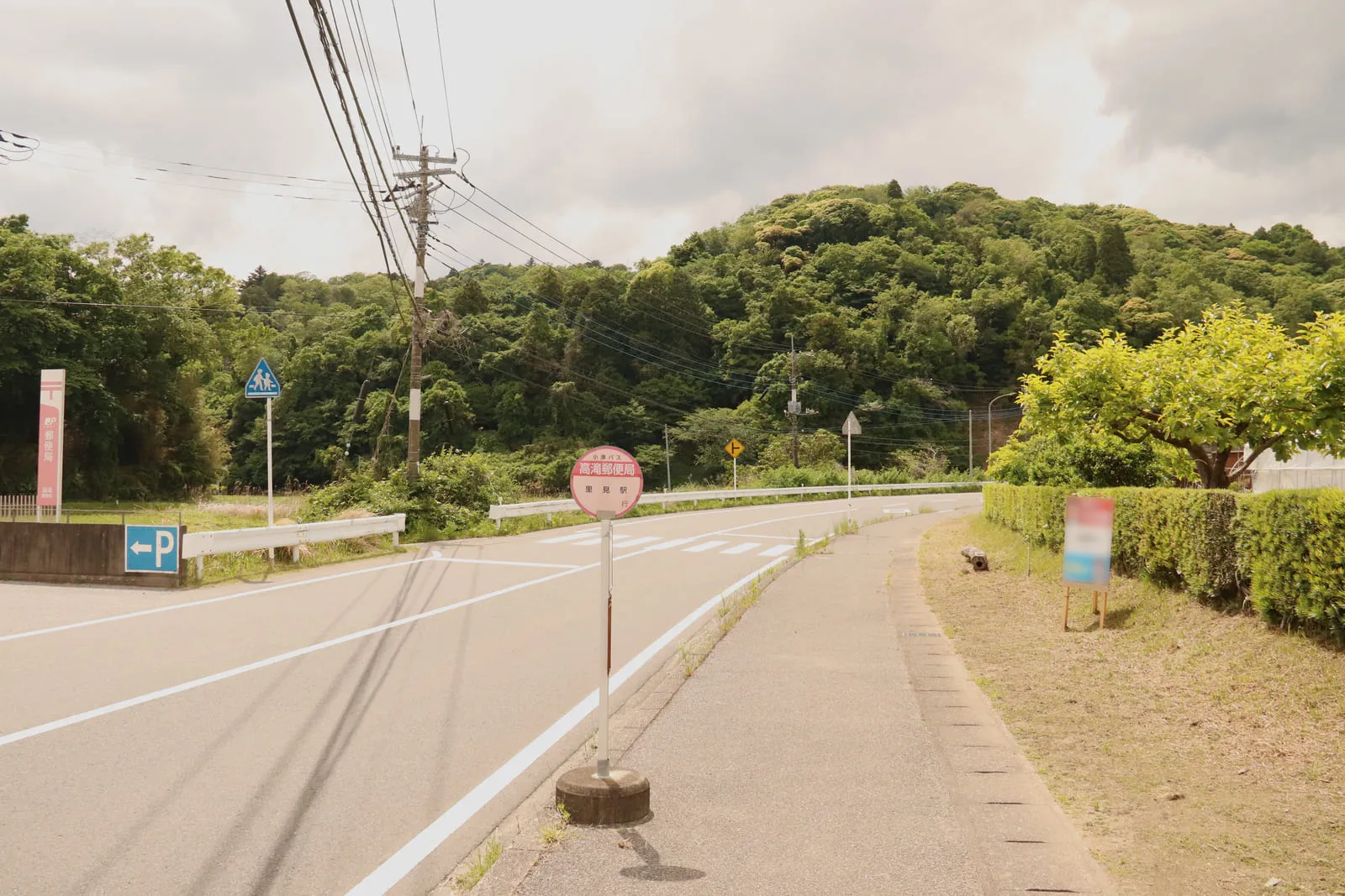 かもめ団地の堤防沿いの道