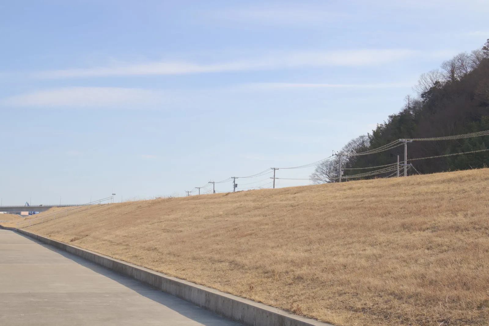 旧北上川の土手の写真