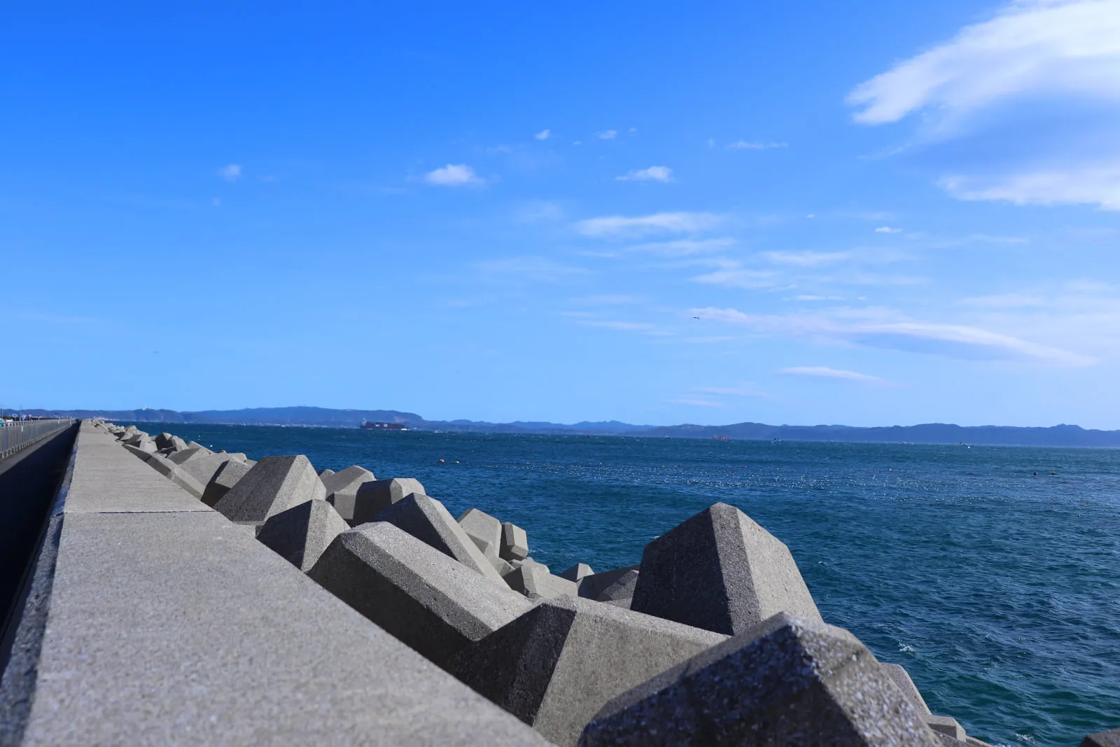 かもめ団地の堤防と消波ブロック