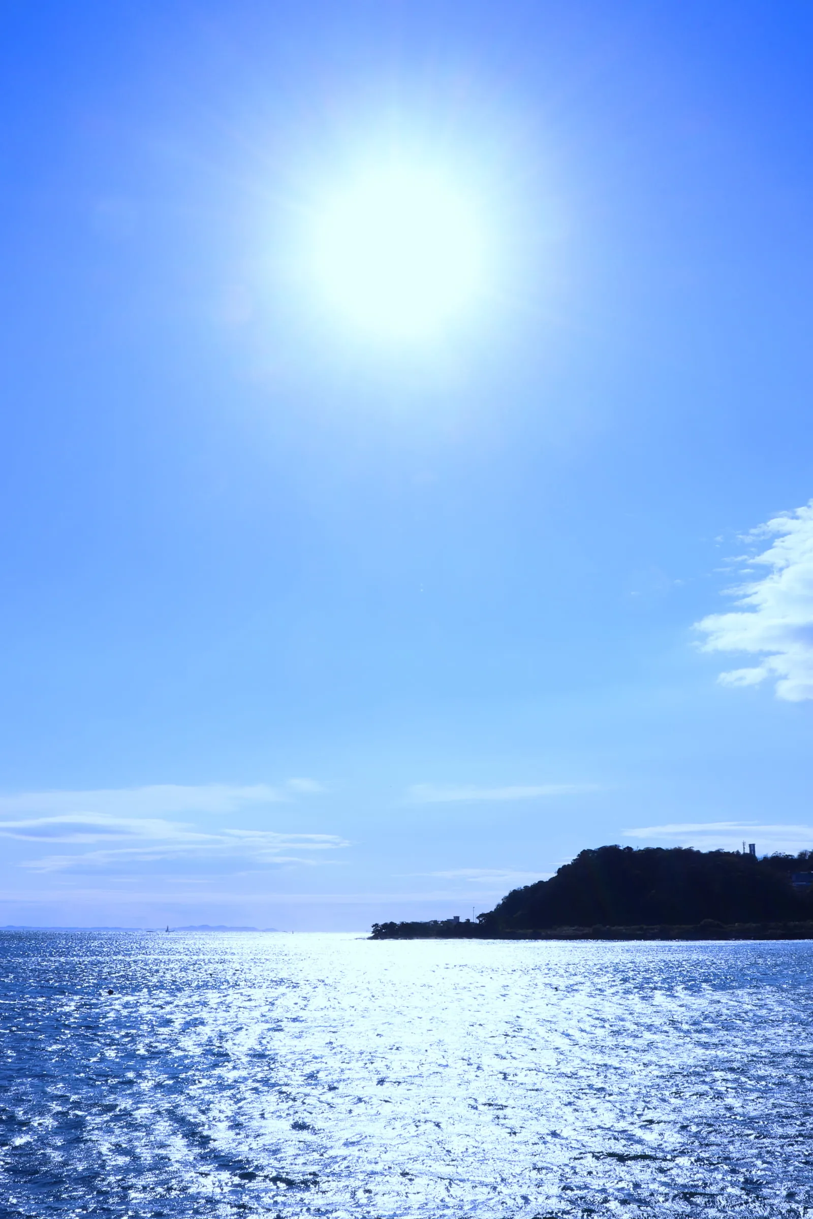 かもめ団地から見る浦賀水道