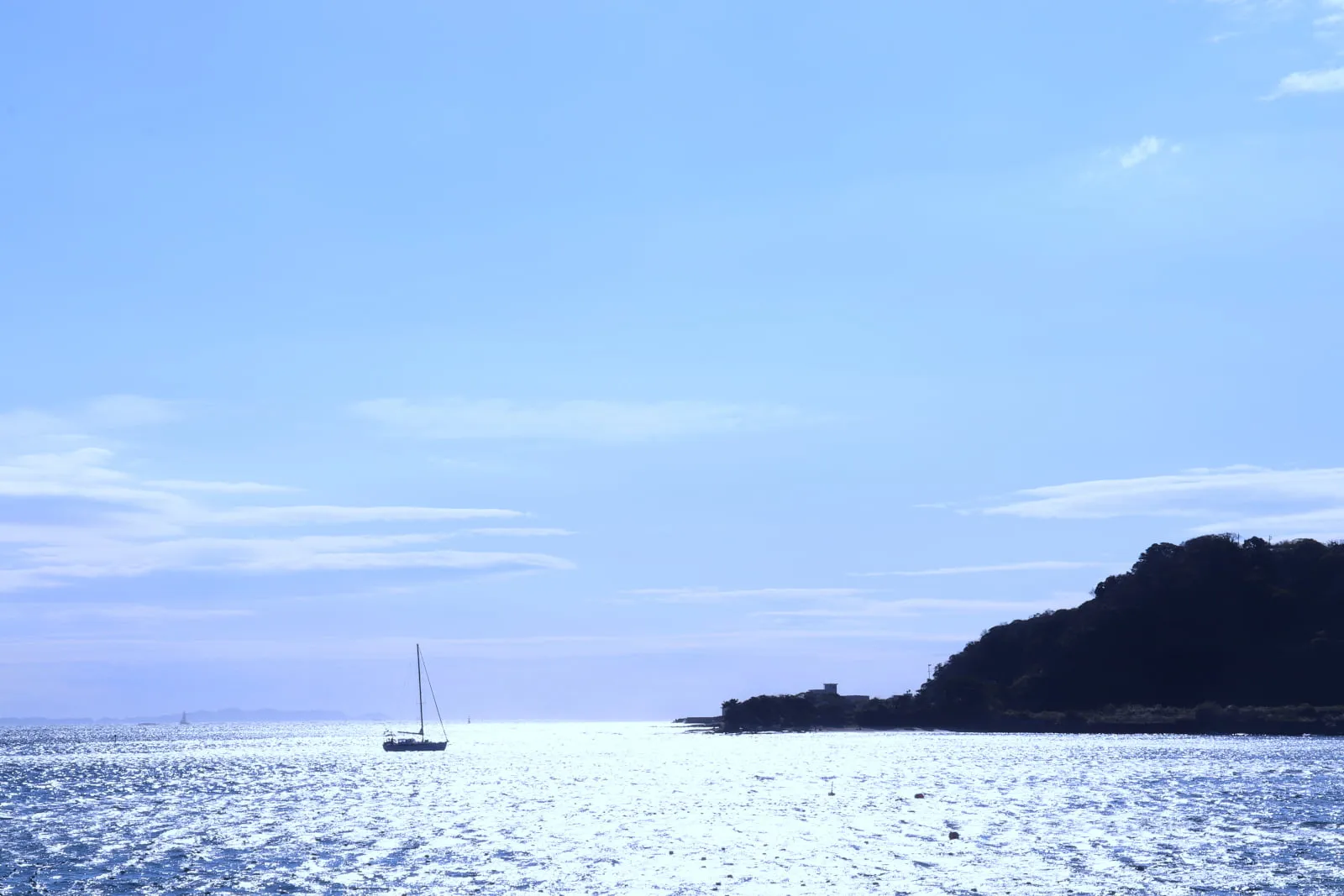 かもめ団地から見る浦賀水道と舟