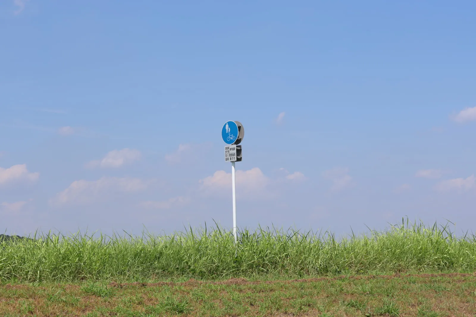 手賀沼サイクリングロードに立つ道路標識