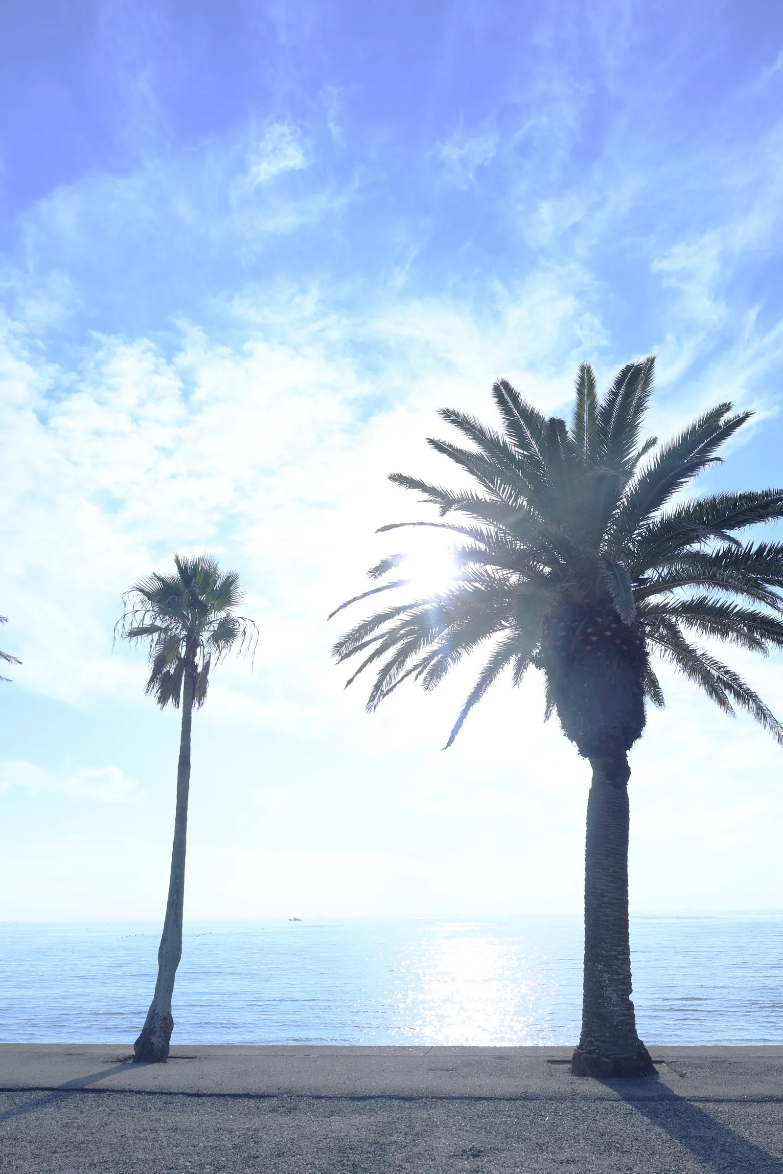 内海海岸海水浴場付近の写真