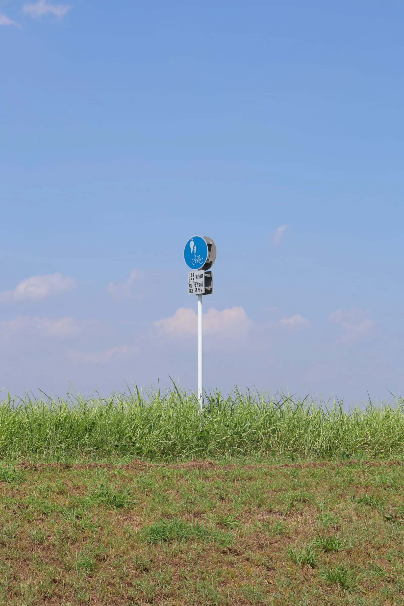 手賀沼サイクリングロードに立つ道路標識
