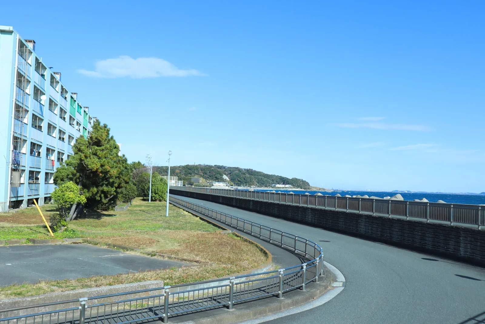 かもめ団地の堤防沿いに走る、ゆるかな曲線を描く道