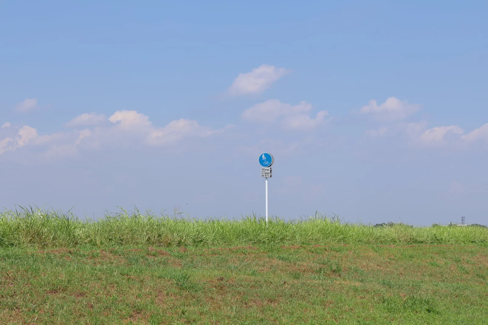 手賀沼サイクリングロードに立つ道路標識