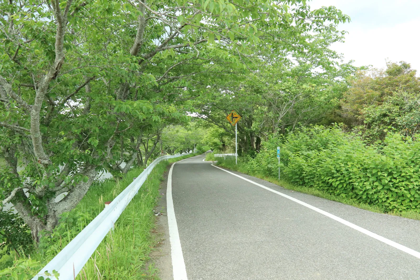 かもめ団地付近に建つ閉鎖されたアパート