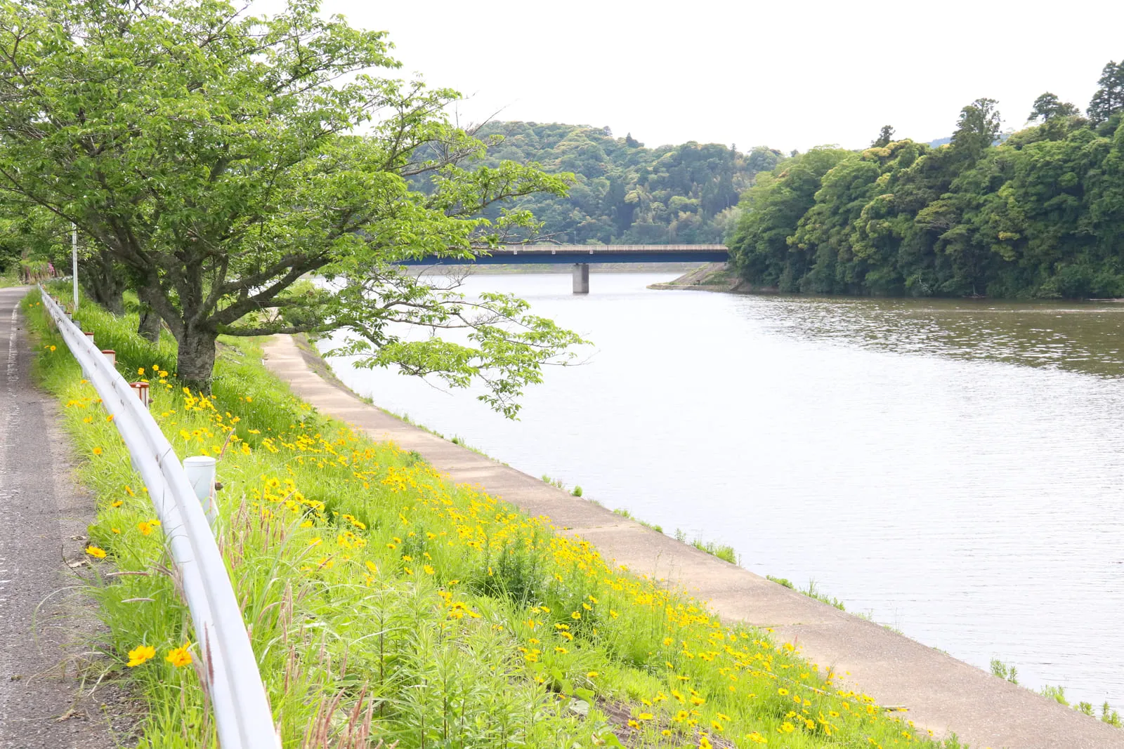 鴨居港付近の道から見る鴨居港