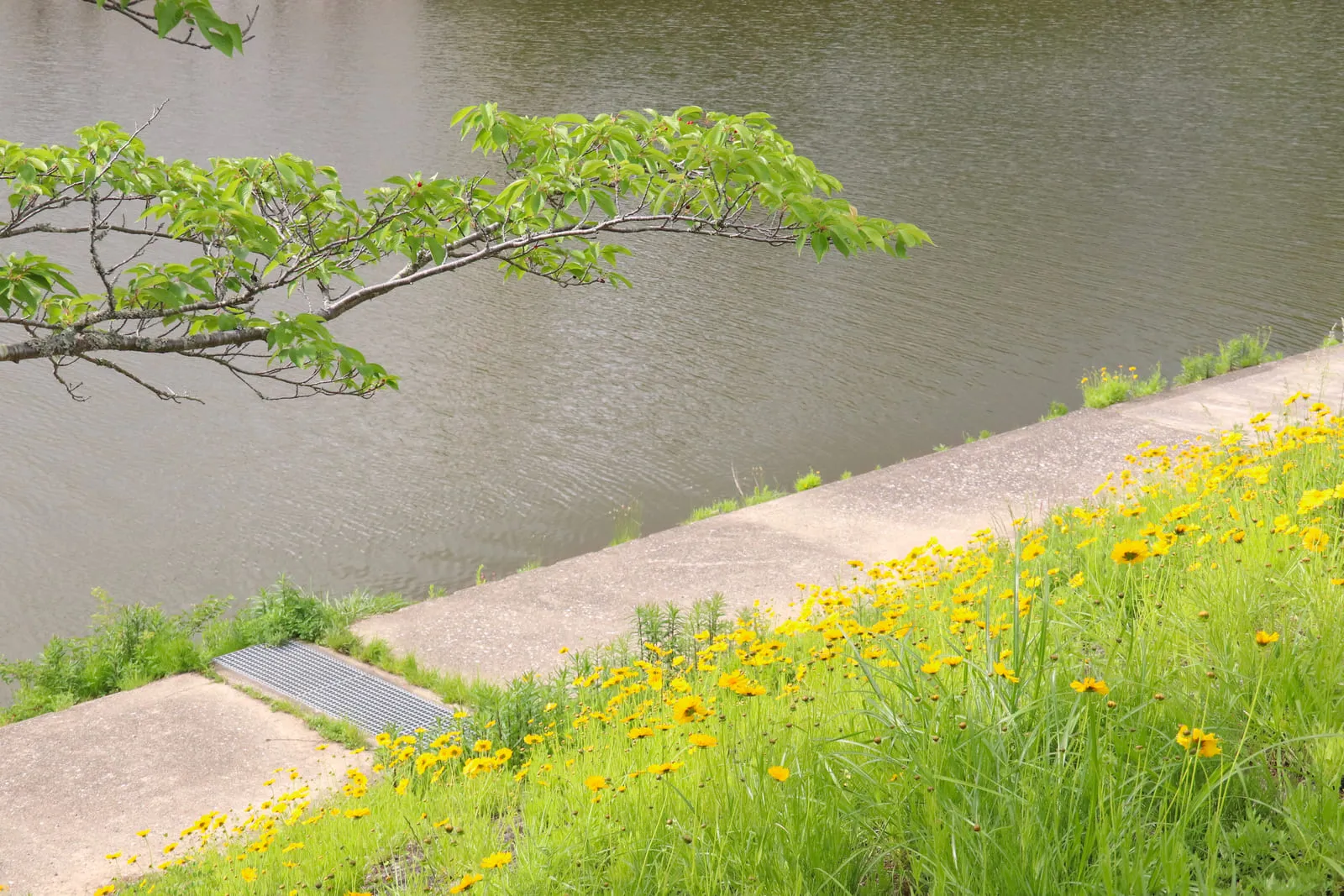 鴨居港の入り口に建つ白い灯台