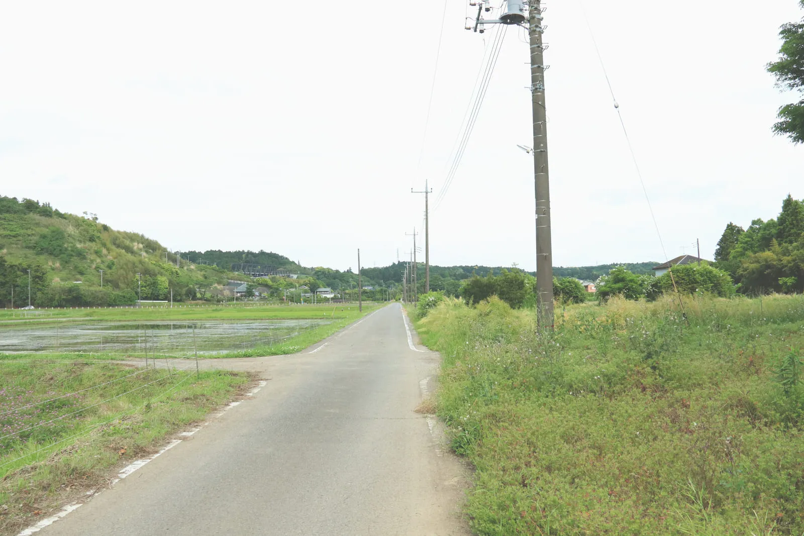 観音崎大橋から見る浦賀水道