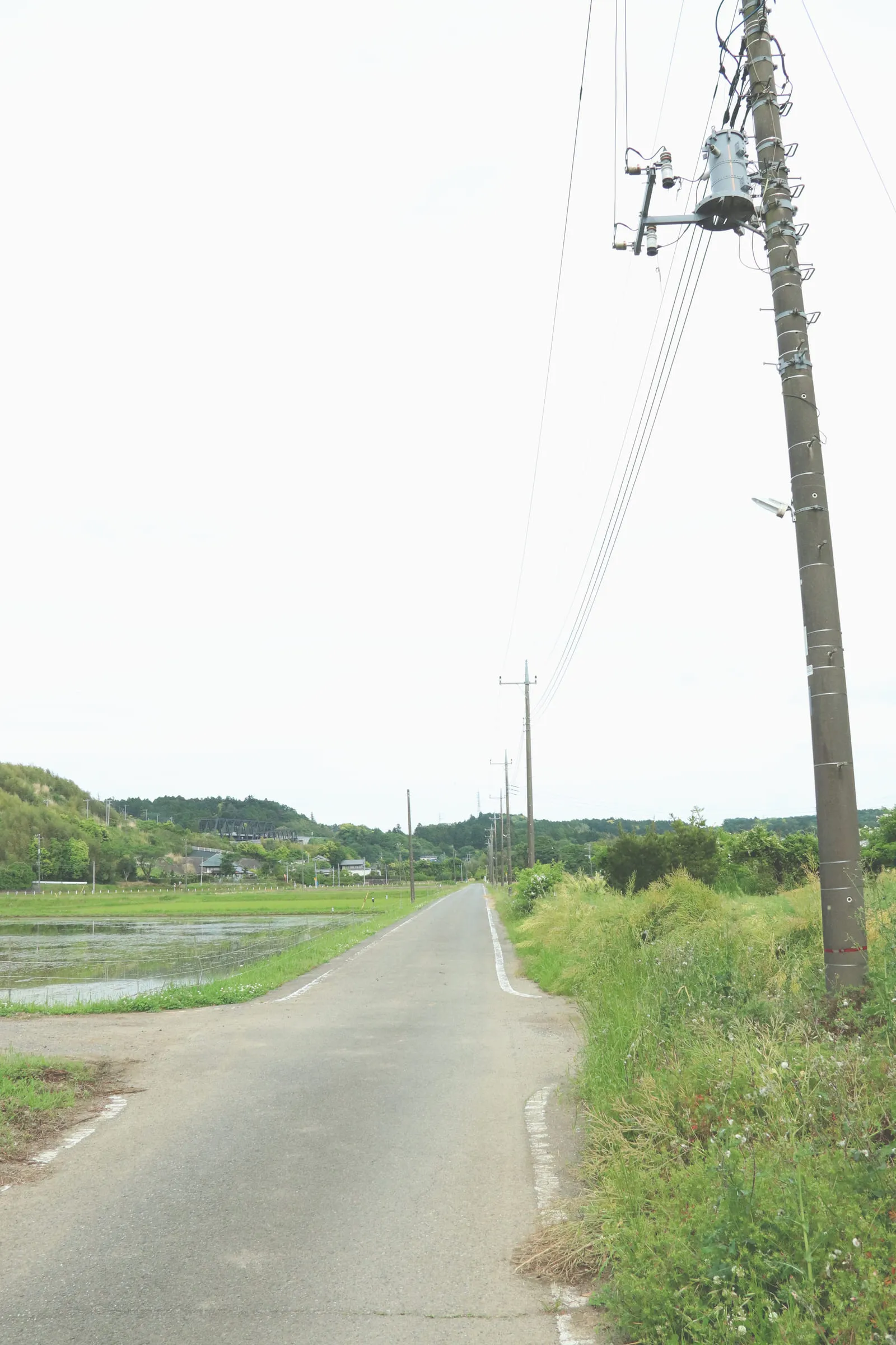 観音崎大橋から見る浦賀水道