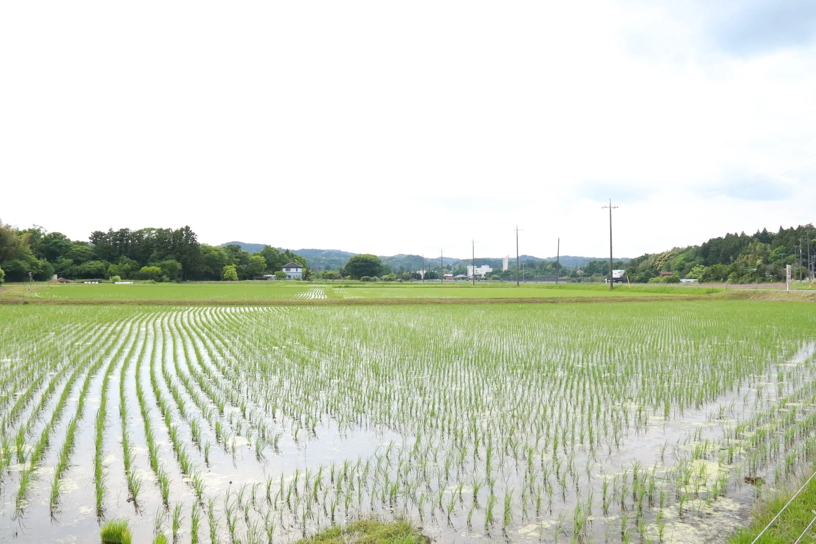 観音崎大橋から見る浦賀