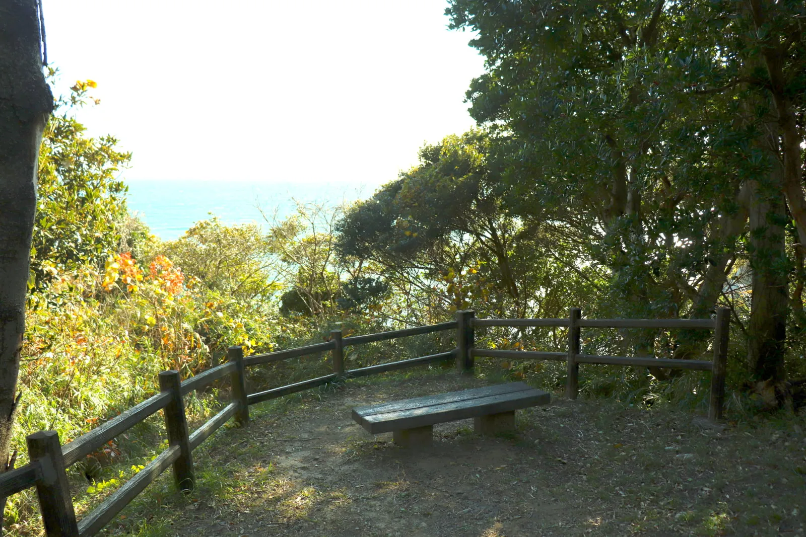 観音崎公園の見晴らし広場の写真