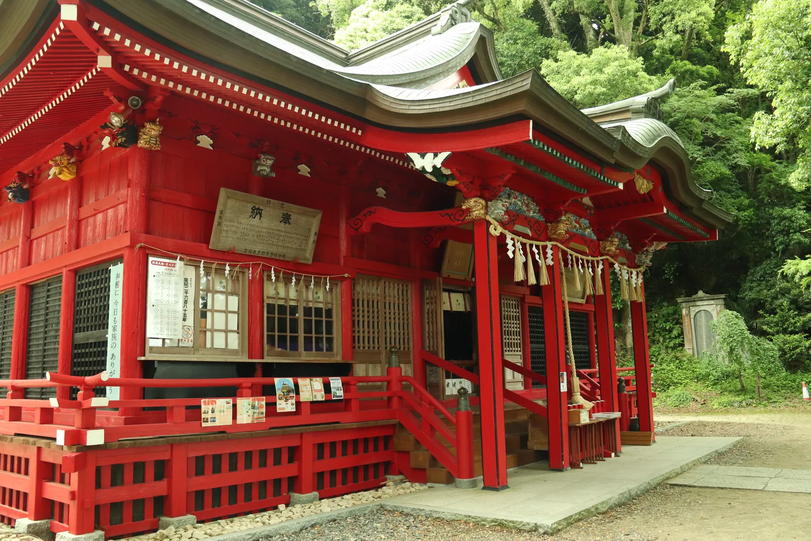 観音崎公園内の大木