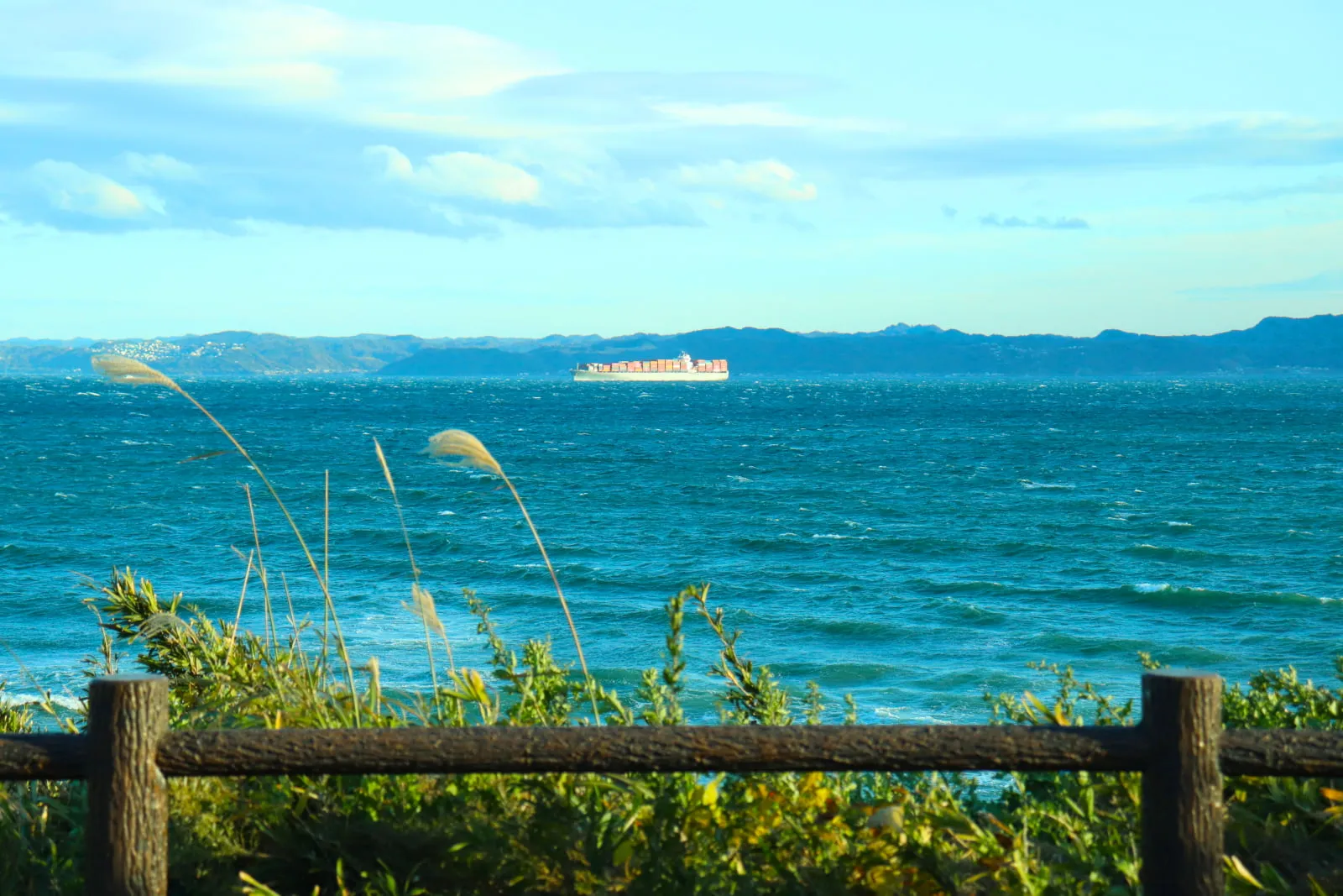展望園地から見る浦賀水道